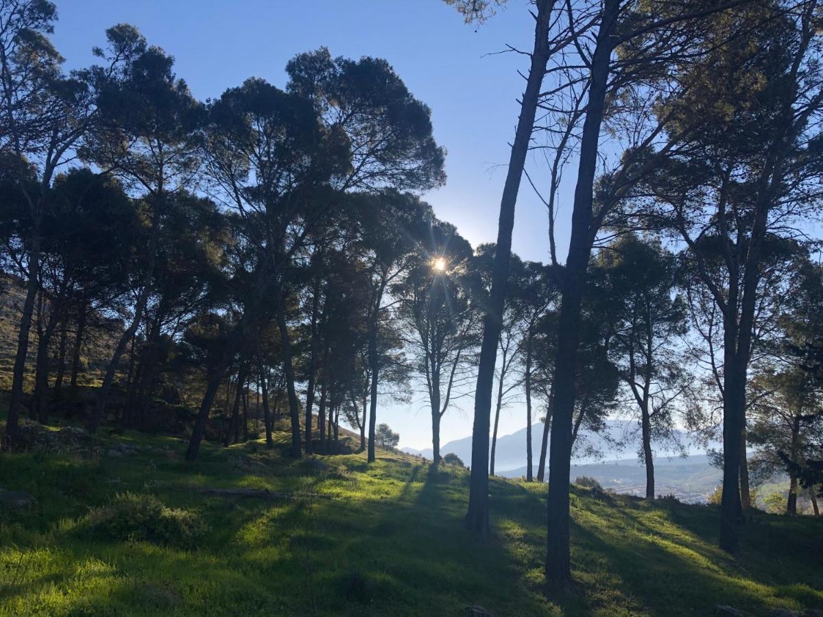 Almohalla51 Archidona Εξωτερικό φωτογραφία